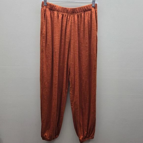 Aerie NWT Oversized Nomad Pants Pockets Elastic Waist Burnt Orange Size Small - Picture 1 of 7
